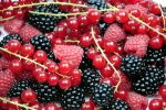 Berries 10702944